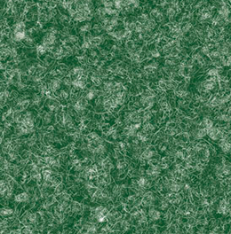 奧薩(青)
奧薩(青)